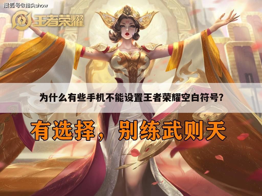 为什么有些手机不能设置王者荣耀空白符号?